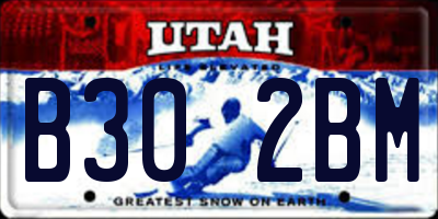 UT license plate B302BM