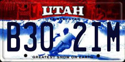 UT license plate B302IM