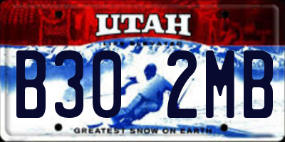 UT license plate B302MB