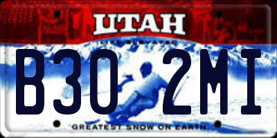 UT license plate B302MI