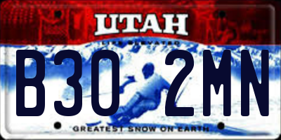 UT license plate B302MN