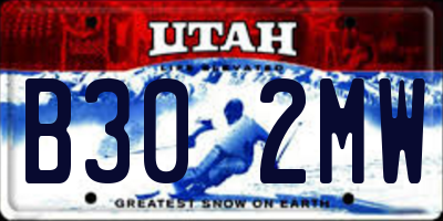 UT license plate B302MW