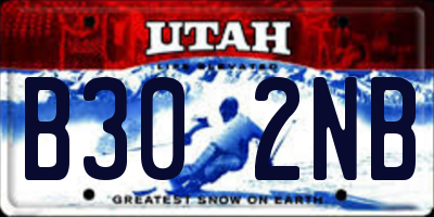 UT license plate B302NB