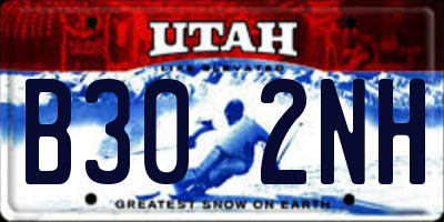 UT license plate B302NH