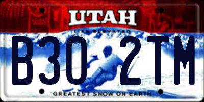 UT license plate B302TM