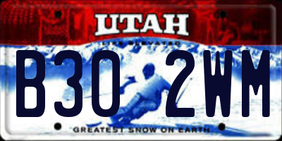 UT license plate B302WM