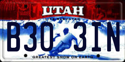 UT license plate B303IN