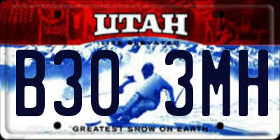 UT license plate B303MH