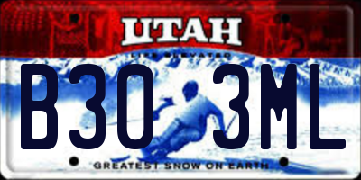 UT license plate B303ML