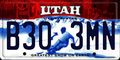 UT license plate B303MN