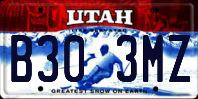 UT license plate B303MZ