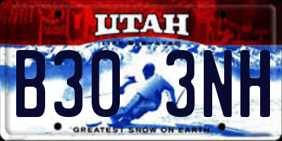 UT license plate B303NH