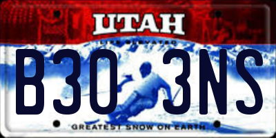 UT license plate B303NS