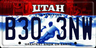 UT license plate B303NW