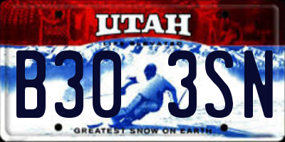 UT license plate B303SN