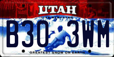 UT license plate B303WM