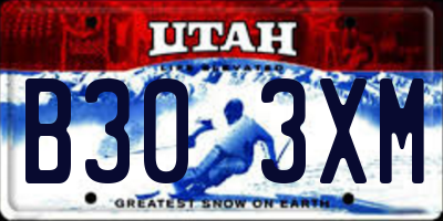 UT license plate B303XM