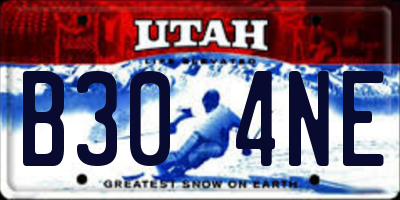UT license plate B304NE