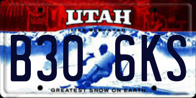 UT license plate B306KS