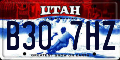 UT license plate B307HZ
