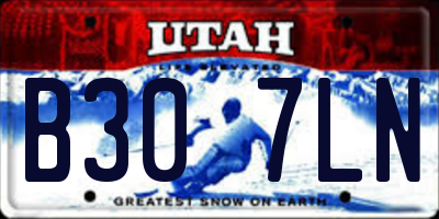 UT license plate B307LN