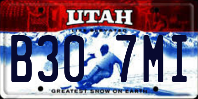 UT license plate B307MI