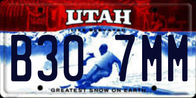 UT license plate B307MM