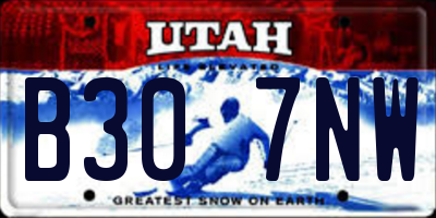 UT license plate B307NW