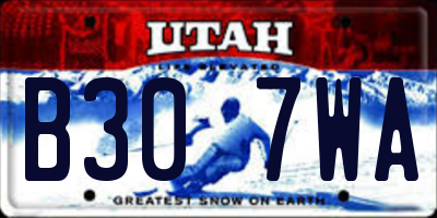 UT license plate B307WA