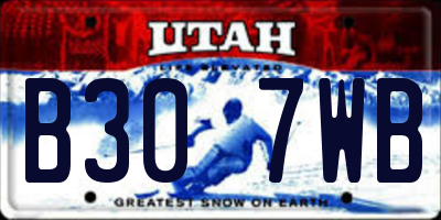 UT license plate B307WB