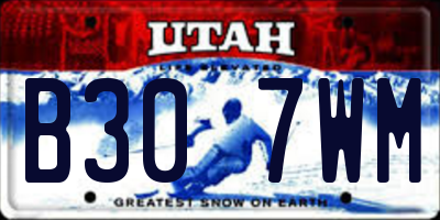 UT license plate B307WM