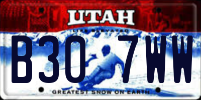 UT license plate B307WW