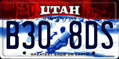 UT license plate B308DS