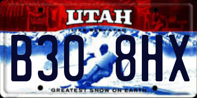UT license plate B308HX