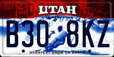 UT license plate B308KZ