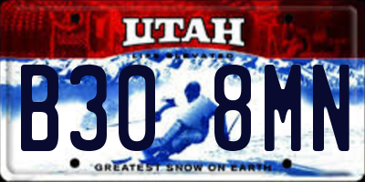 UT license plate B308MN