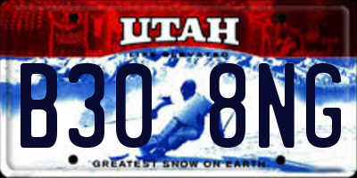 UT license plate B308NG
