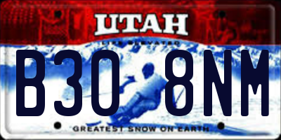 UT license plate B308NM