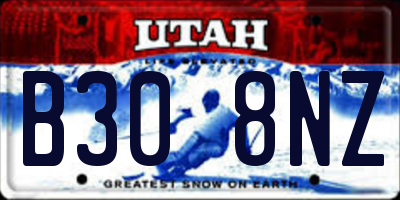 UT license plate B308NZ