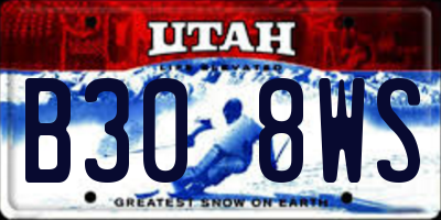 UT license plate B308WS