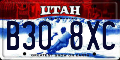 UT license plate B308XC