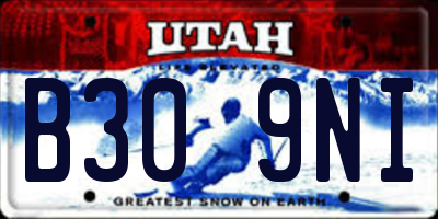 UT license plate B309NI