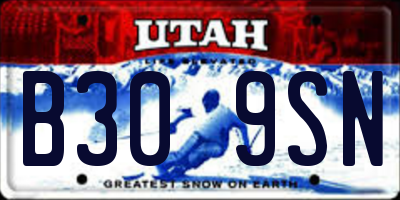 UT license plate B309SN