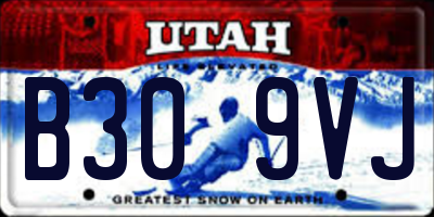 UT license plate B309VJ