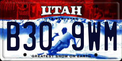 UT license plate B309WM