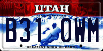 UT license plate B310WM