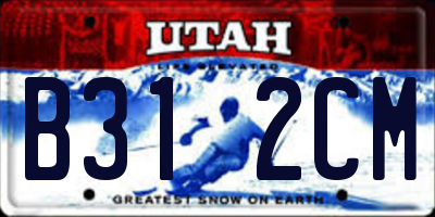 UT license plate B312CM