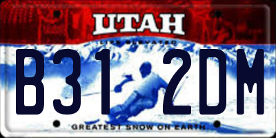UT license plate B312DM