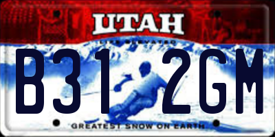 UT license plate B312GM