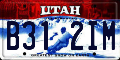 UT license plate B312IM